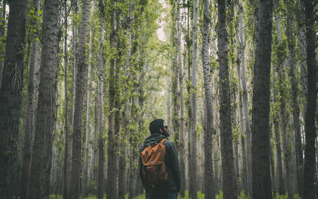 What would you pursue if you knew you wouldn’t fail?