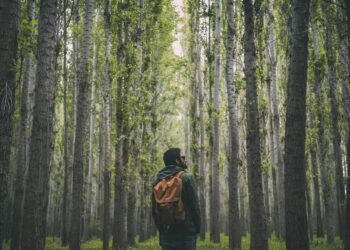 What would you pursue if you knew you wouldn’t fail?